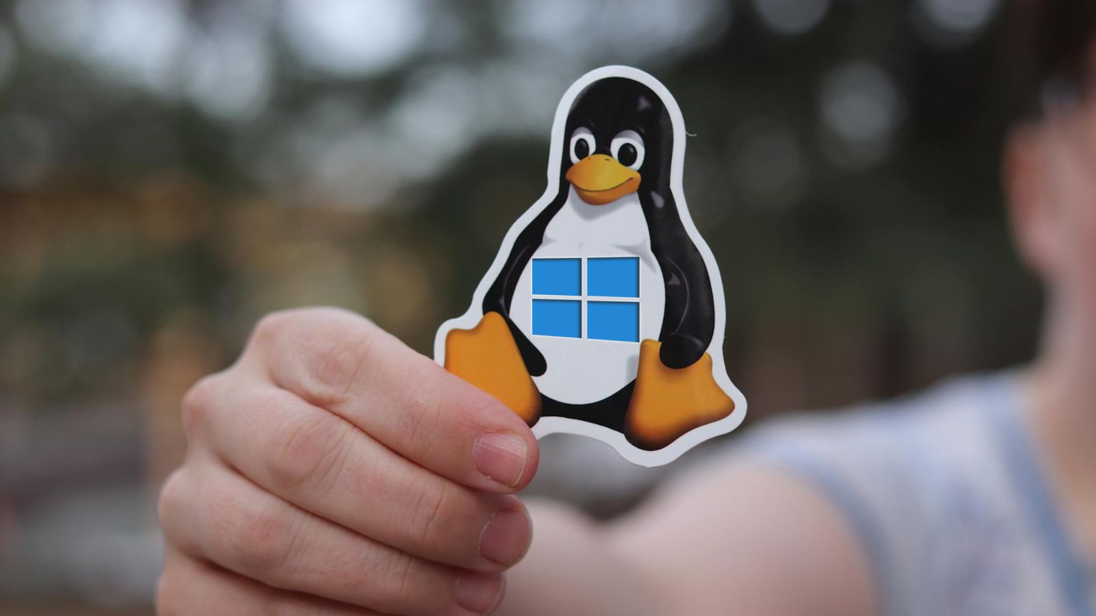 Windows 11 vs Linux: 4 Razones Clave por las Que el Sistema de Microsoft Gana Windows 11 vs Linux: 4 Razones Clave por las Que el Sistema de Microsoft Gana