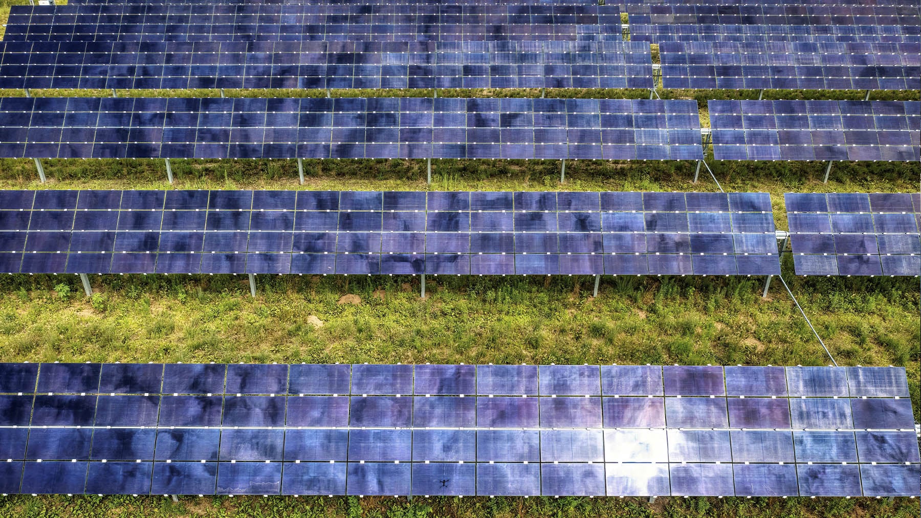 Corea crea material con nanopartículas de oro para paneles solares más eficientes Corea crea material con nanopartículas de oro para paneles solares más eficientes