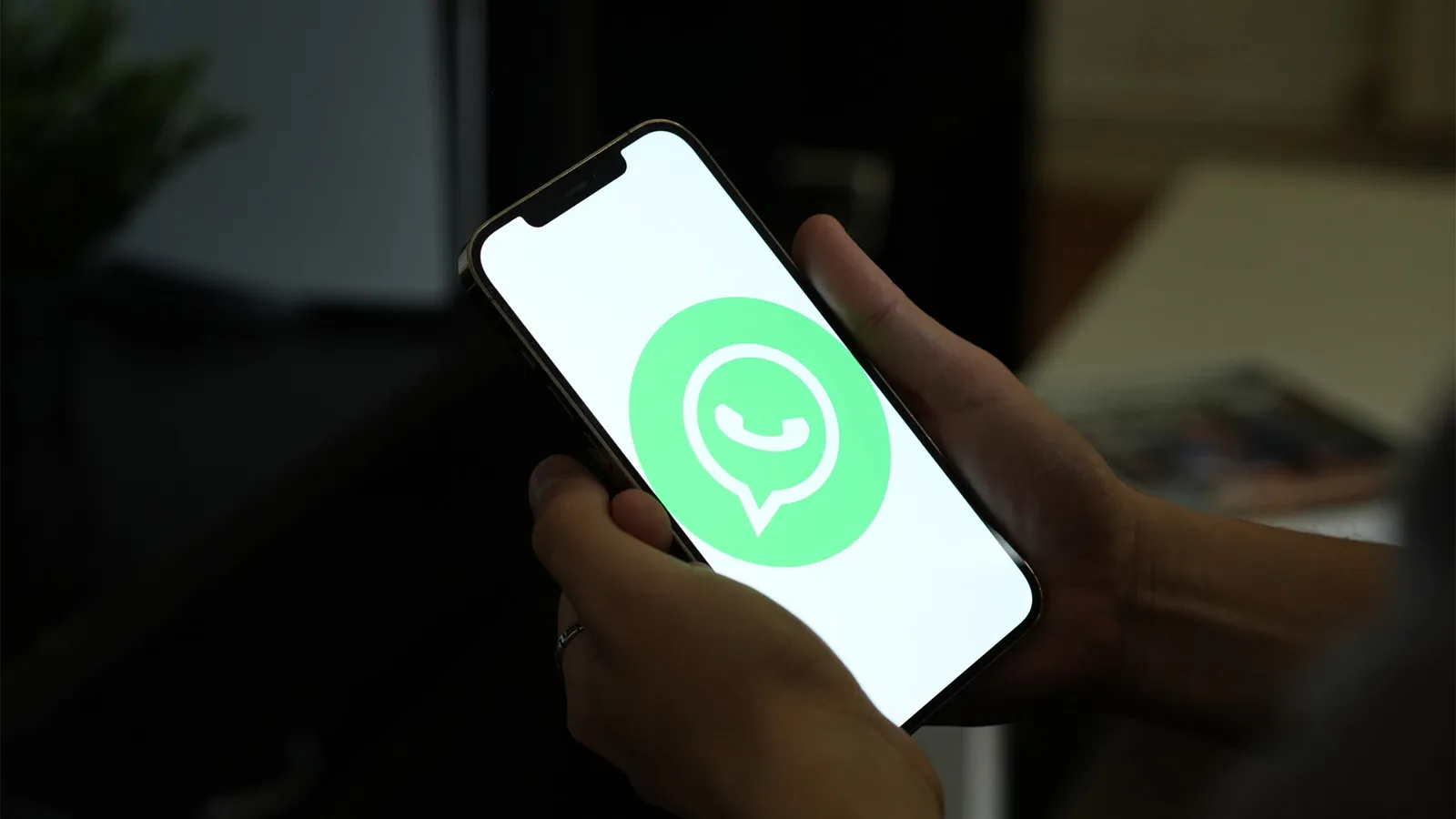 elige dónde guardar tus copias de seguridad de whatsapp y protege tus chats elige dónde guardar tus copias de seguridad de whatsapp y protege tus chats