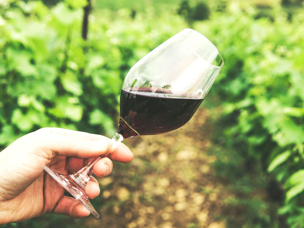 descubre el vino cosechero de 9 € con 92 puntos Parker descubre el vino cosechero de 9 € con 92 puntos Parker