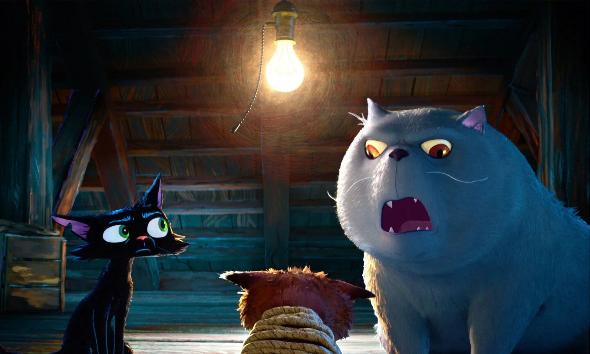 gatto: la peli de Pixar que hará flipar a los amantes de los gatos gatto: la peli de Pixar que hará flipar a los amantes de los gatos