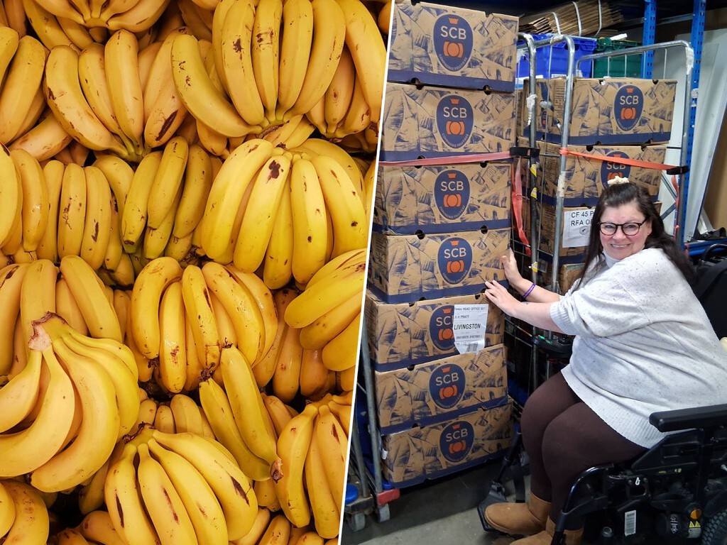 el supermercado recibe 38 000 kg de plátanos y los reparte gratis el supermercado recibe 38 000 kg de plátanos y los reparte gratis