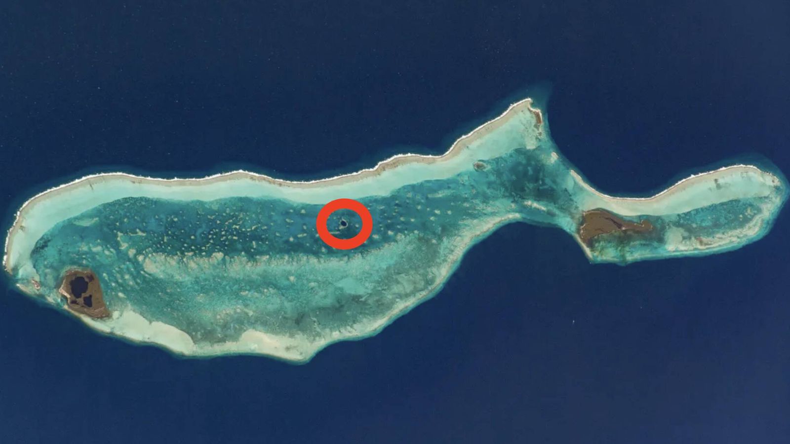 Lighthouse Reef: la ballena marina que esconde un misterioso agujero Lighthouse Reef: la ballena marina que esconde un misterioso agujero
