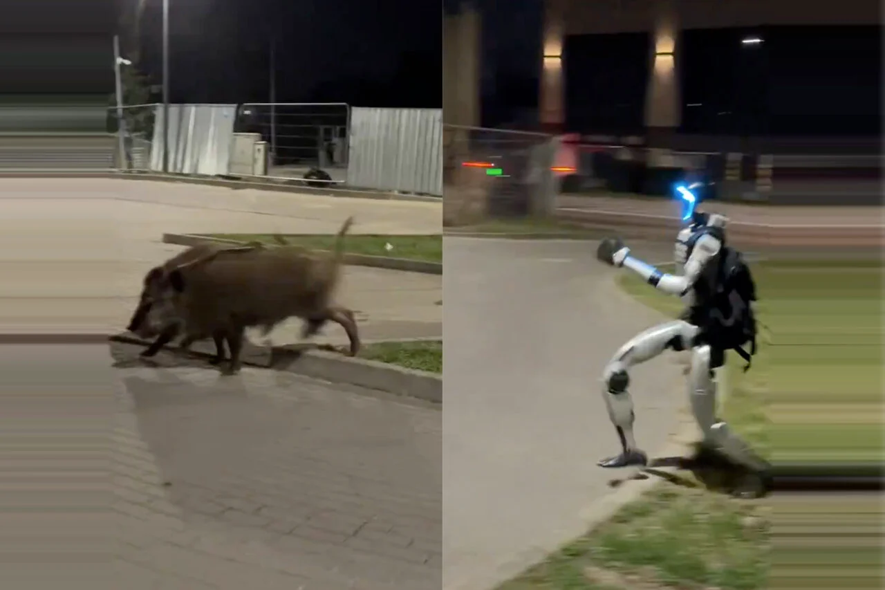Cómo un robot de 13.500€ puede echar de tu jardín a 50 jabalíes en menos de 5 minutos Cómo un robot de 13.500€ puede echar de tu jardín a 50 jabalíes en menos de 5 minutos