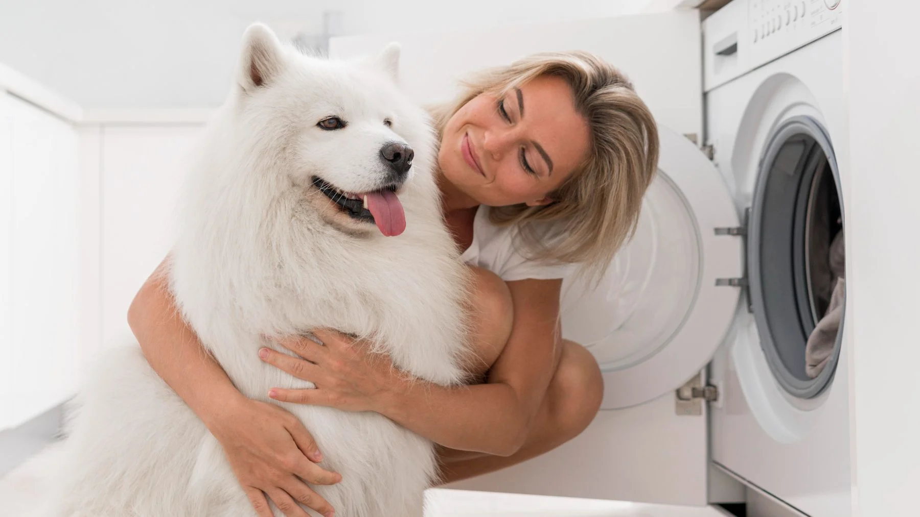quitar pelos de perro y gato de la lavadora de forma fácil quitar pelos de perro y gato de la lavadora de forma fácil