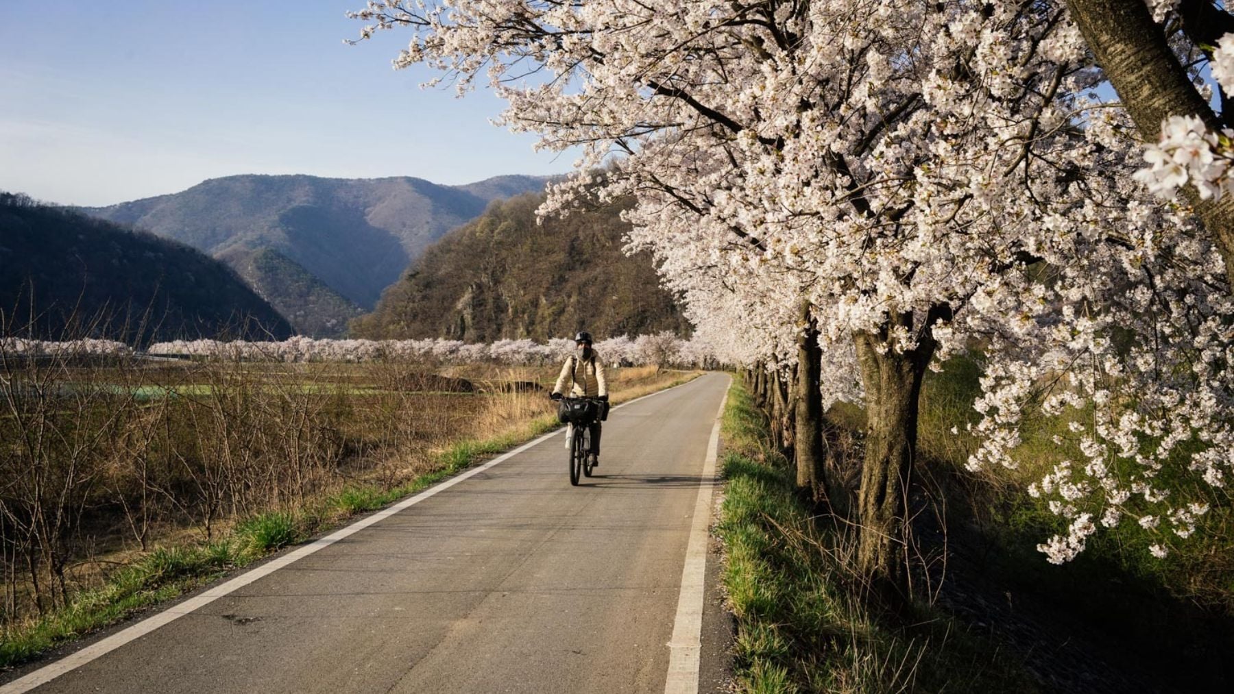 Corea del Sur crea el carril bici más largo del mundo con 633 km Corea del Sur crea el carril bici más largo del mundo con 633 km