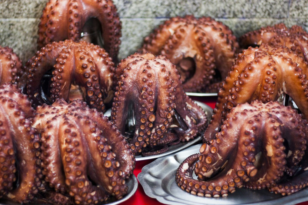 El pulpo gallego en peligro: Reino Unido se convierte en competencia El pulpo gallego en peligro: Reino Unido se convierte en competencia