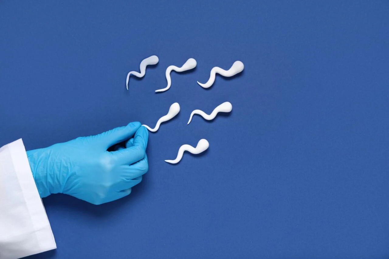 Descubre por qué la abstinencia reduce la calidad del esperma y cómo mejorar la fertilidad Descubre por qué la abstinencia reduce la calidad del esperma y cómo mejorar la fertilidad