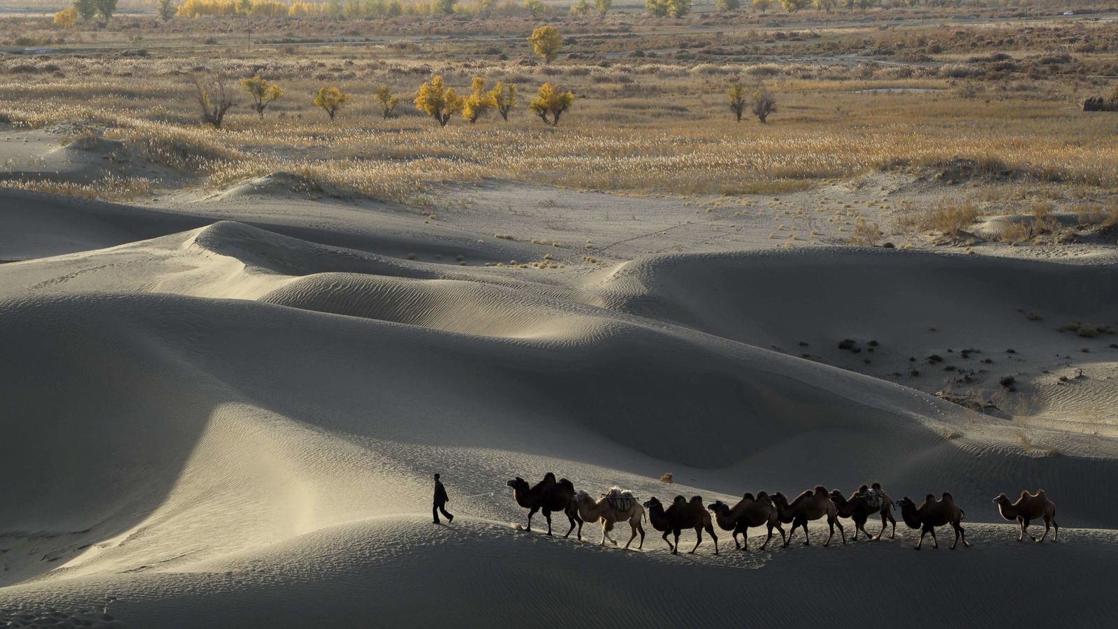 China lucha contra la desertificación con tecnología lunar China lucha contra la desertificación con tecnología lunar