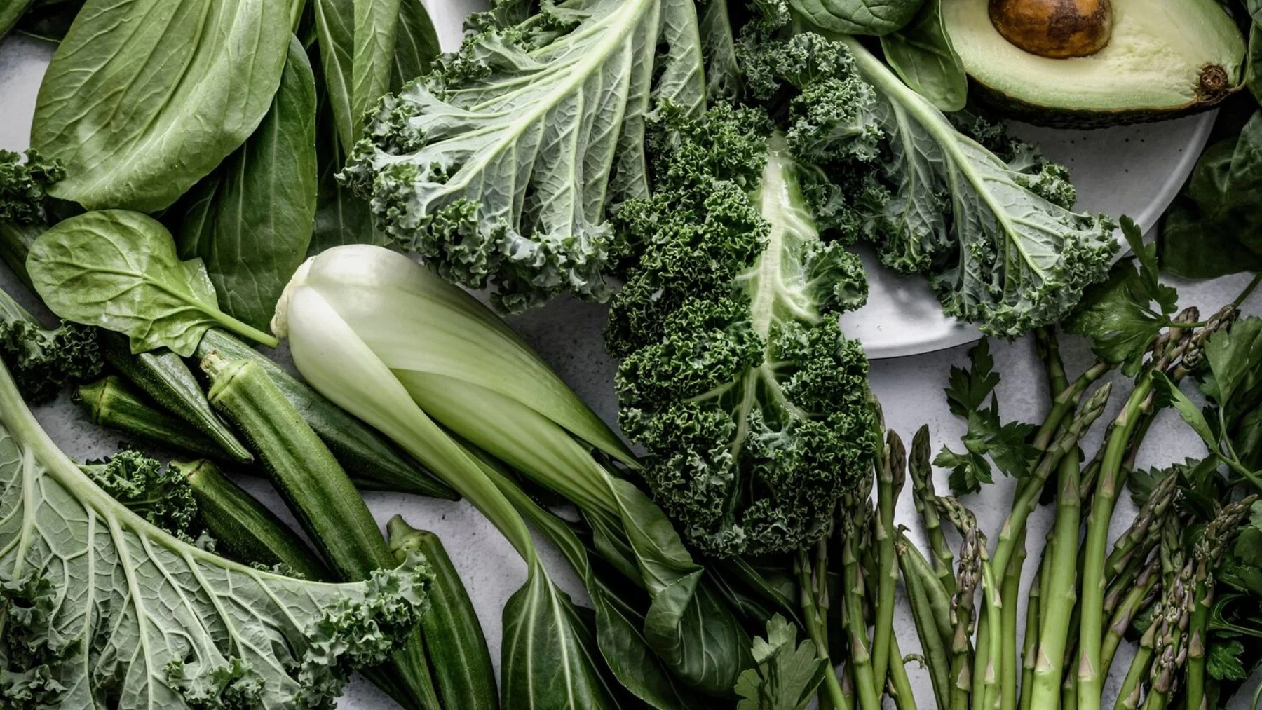 plantas mineras: cómo extraen talio del suelo plantas mineras: cómo extraen talio del suelo
