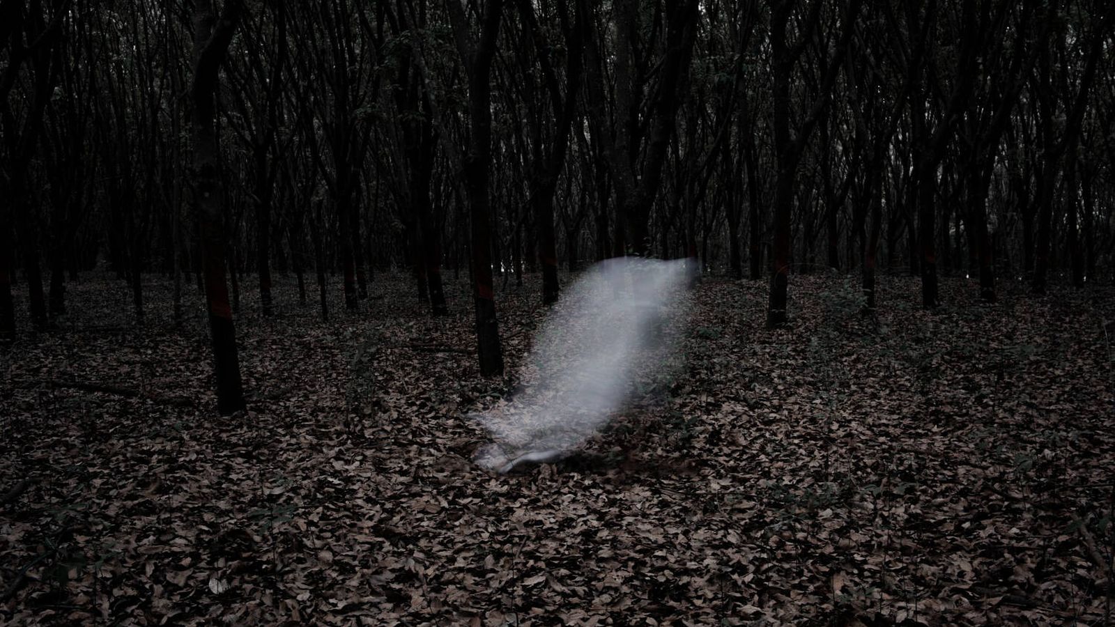 Descubren que el cerebro humano tiene un punto débil que hace que el 35% de las personas tenga experiencias paranormales Descubren que el cerebro humano tiene un punto débil que hace que el 35% de las personas tenga experiencias paranormales