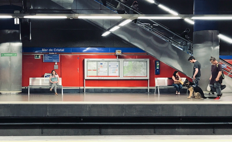 descubre por qué seguimos al desconocido en el metro descubre por qué seguimos al desconocido en el metro