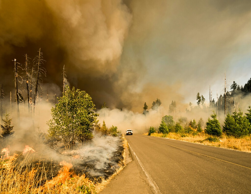 los incendios forestales aumentan un 218% en lo que va de año en españa los incendios forestales aumentan un 218% en lo que va de año en españa