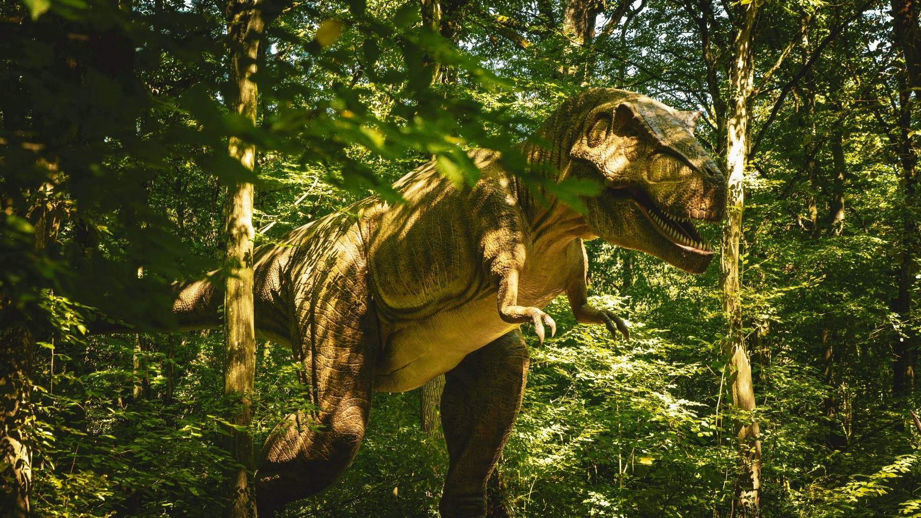 El T-rex no era como creías: un estudio lo acerca más a un avestruz El T-rex no era como creías: un estudio lo acerca más a un avestruz