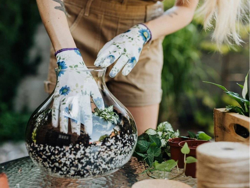 cómo montar un terrario fácil con las mejores plantas cómo montar un terrario fácil con las mejores plantas