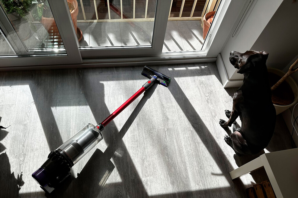 Cómo eliminar los pelos de tu perro en casa: la guía definitiva con aspiradora sin cables Cómo eliminar los pelos de tu perro en casa: la guía definitiva con aspiradora sin cables