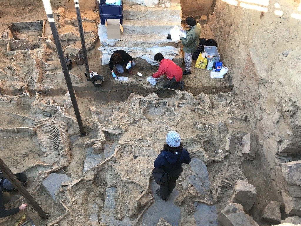 Descubren nuevos secretos de la civilización tartésica en un pueblo de Badajoz Descubren nuevos secretos de la civilización tartésica en un pueblo de Badajoz