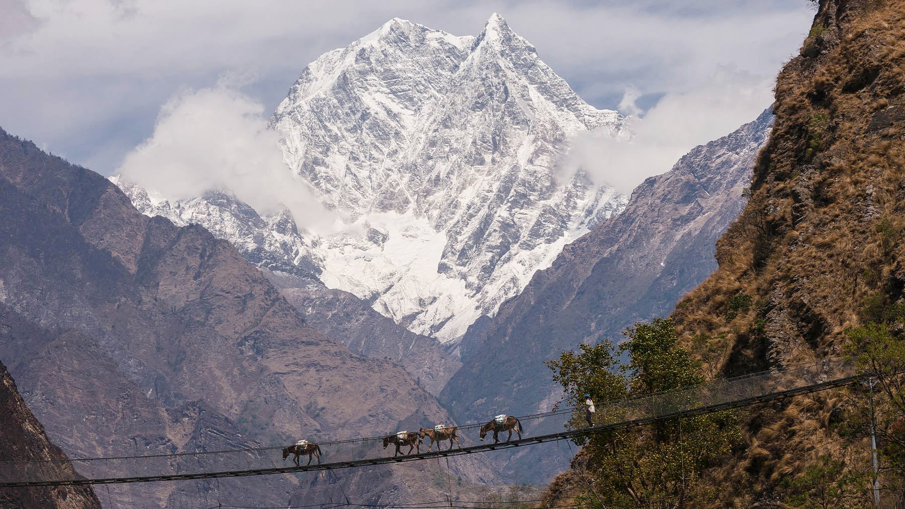 el himalaya se vuelve más verde y amenaza el agua de asia el himalaya se vuelve más verde y amenaza el agua de asia