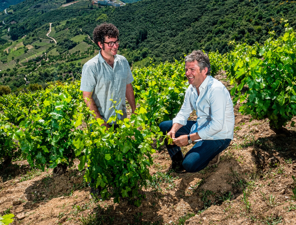 La familia Palacios convierte El Bierzo en referente del vino de autor La familia Palacios convierte El Bierzo en referente del vino de autor