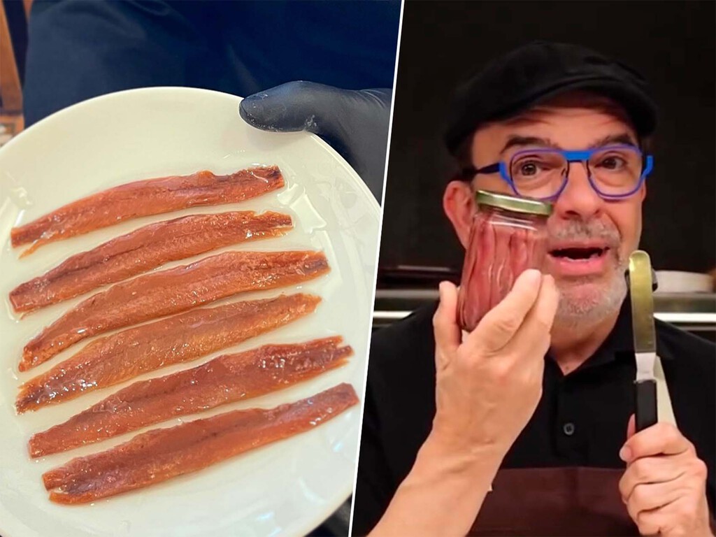 ¿por qué la lata opaca es la mejor para tus anchoas? ¿por qué la lata opaca es la mejor para tus anchoas?