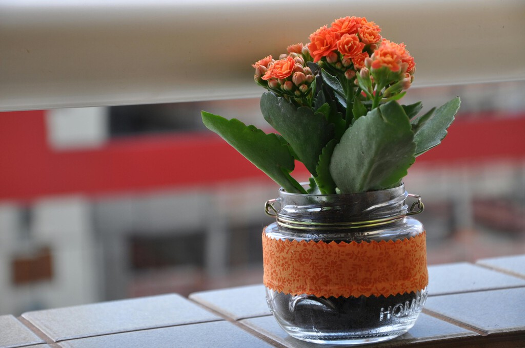 4 ideas fáciles para reutilizar botes de cristal y darle vida a tu cocina 4 ideas fáciles para reutilizar botes de cristal y darle vida a tu cocina