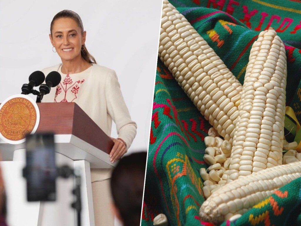 Gobierno mexicano acuerda 'precio justo' para productores de maíz Gobierno mexicano acuerda 'precio justo' para productores de maíz