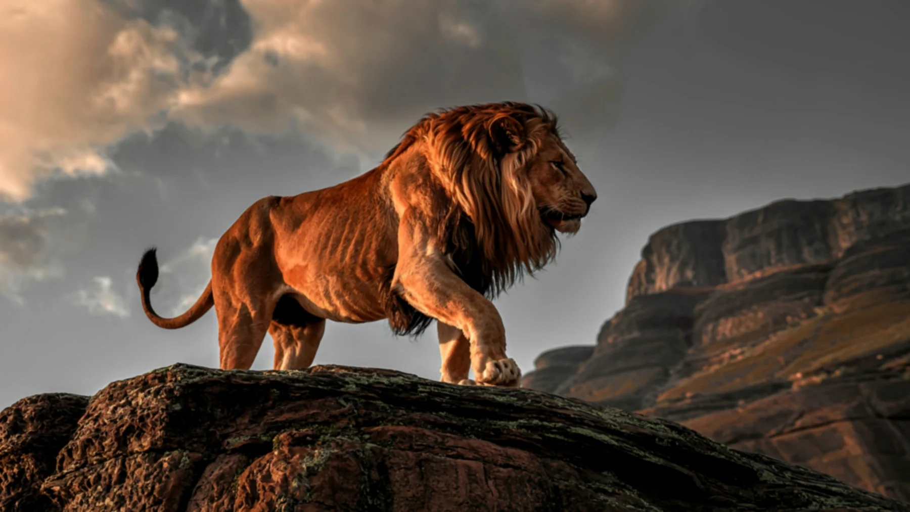 ¿Qué significa 'Hakuna Matata', la expresión africana que se hizo famosa en 'El Rey León'? ¿Qué significa 'Hakuna Matata', la expresión africana que se hizo famosa en 'El Rey León'?