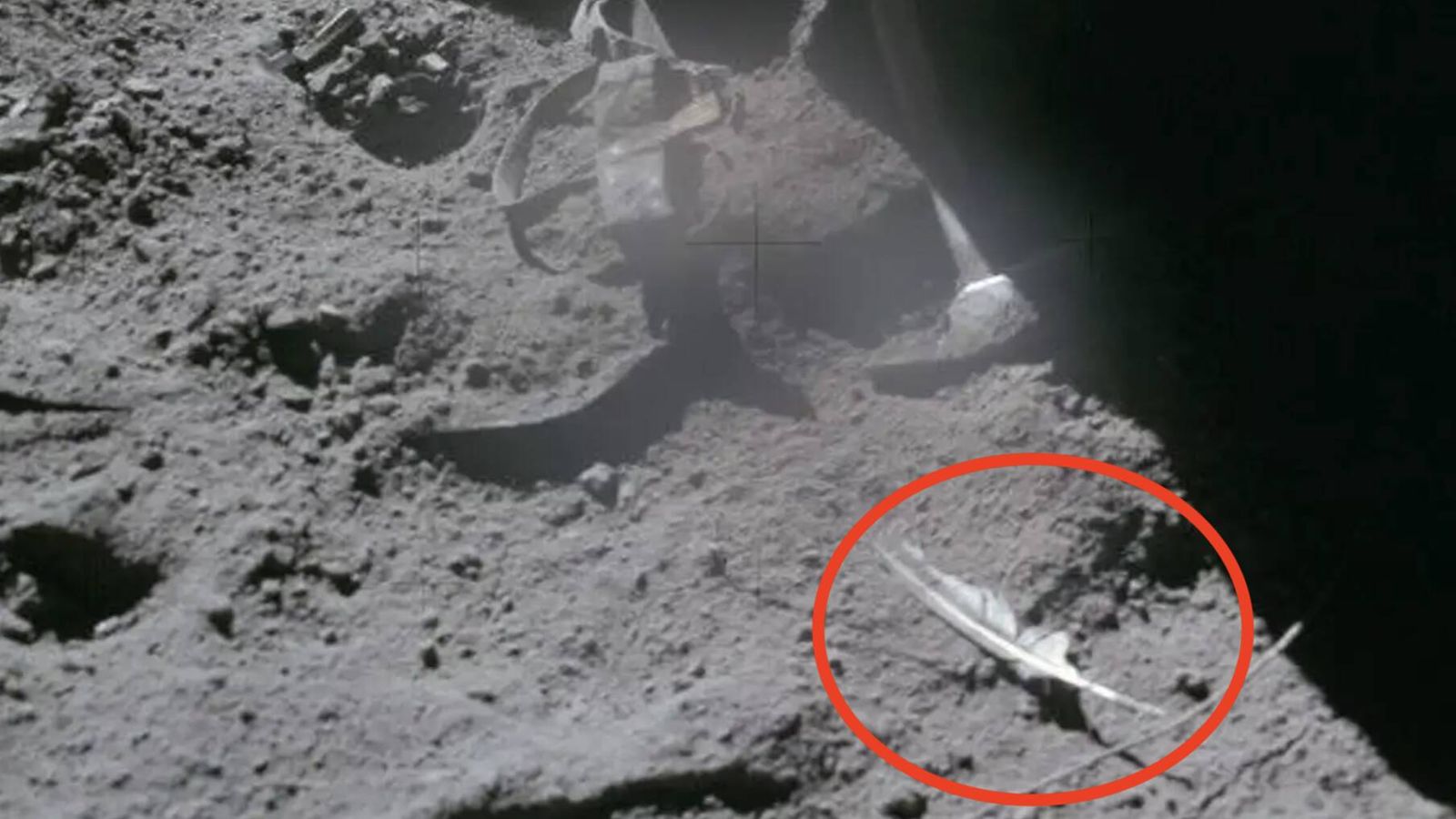 la pluma y el martillo que la nasa dejó caer en la luna (y por qué los dos tocaron el suelo a la vez) la pluma y el martillo que la nasa dejó caer en la luna (y por qué los dos tocaron el suelo a la vez)