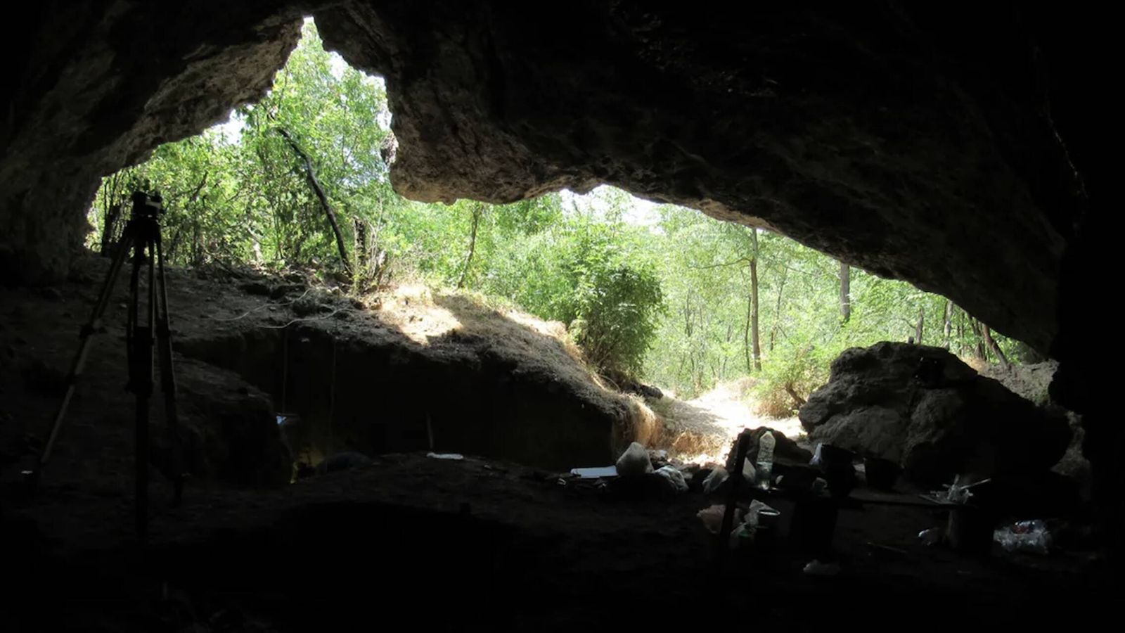 Descubre cómo un solo linaje neandertal sobrevivió y dominó Europa hace 65.000 años Descubre cómo un solo linaje neandertal sobrevivió y dominó Europa hace 65.000 años