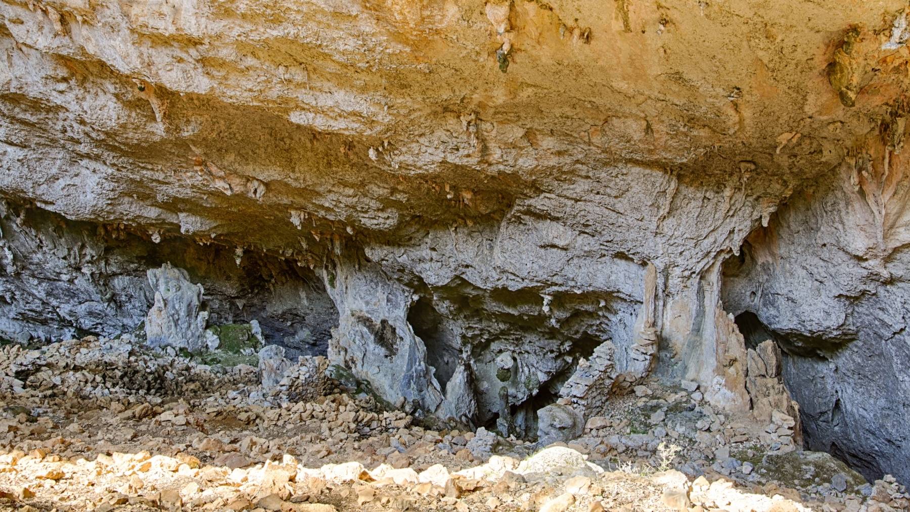 Descubren la casa de los últimos neandertales en una cueva de Gibraltar Descubren la casa de los últimos neandertales en una cueva de Gibraltar
