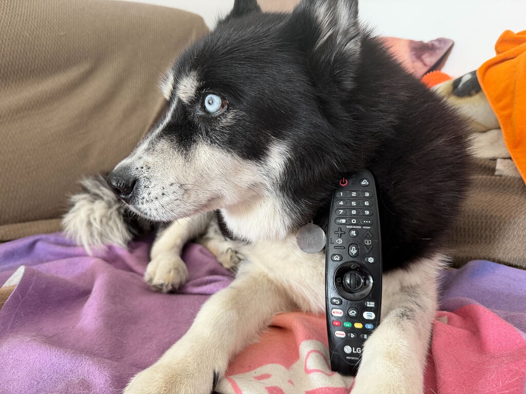 7 ajustes para que tu tele LG vuele como nueva 7 ajustes para que tu tele LG vuele como nueva