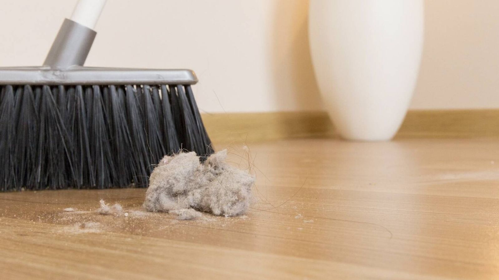 el polvo de tu casa esconde sustancias tóxicas que ni imaginas el polvo de tu casa esconde sustancias tóxicas que ni imaginas