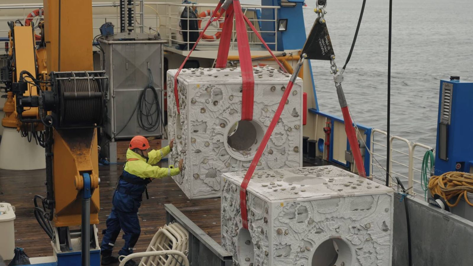 Reino Unido hunde bloques de hormigón para recuperar un ecosistema marino perdido Reino Unido hunde bloques de hormigón para recuperar un ecosistema marino perdido