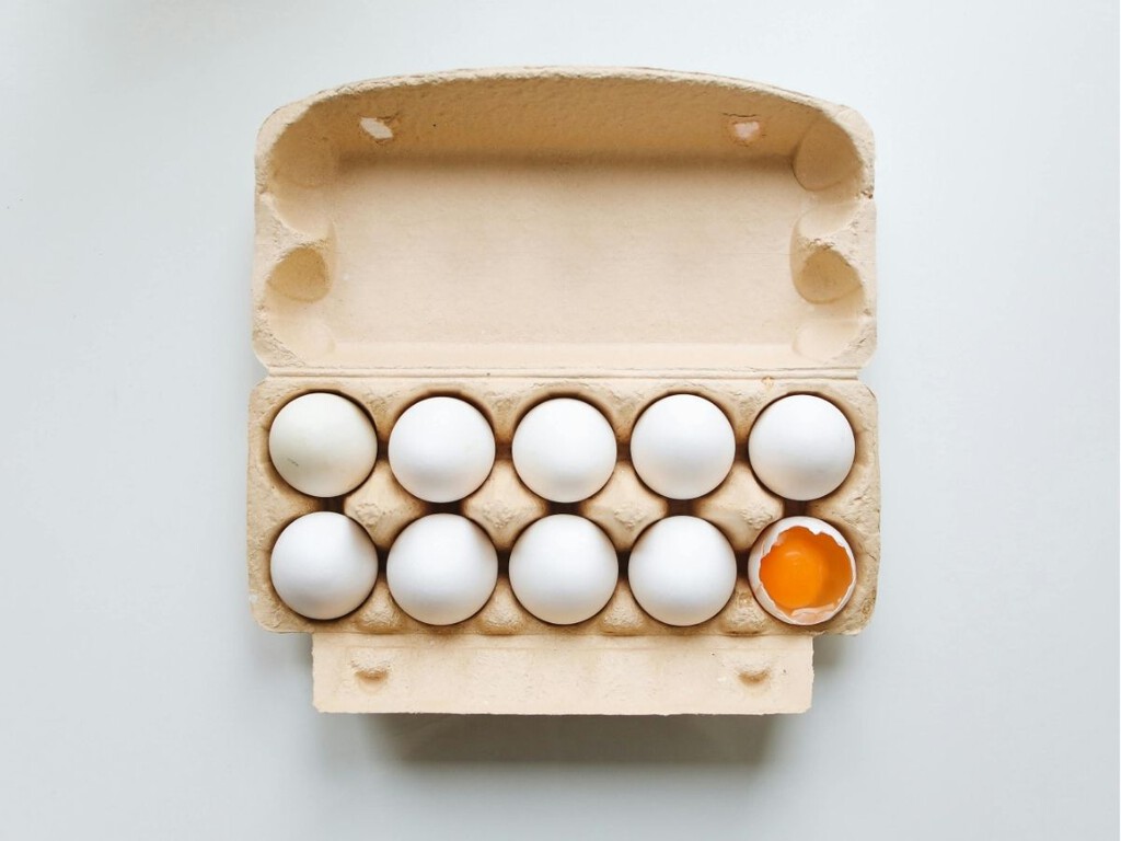 Reutiliza tus Huevos: Ideas Creativas y Sostenibles con Premios Reutiliza tus Huevos: Ideas Creativas y Sostenibles con Premios