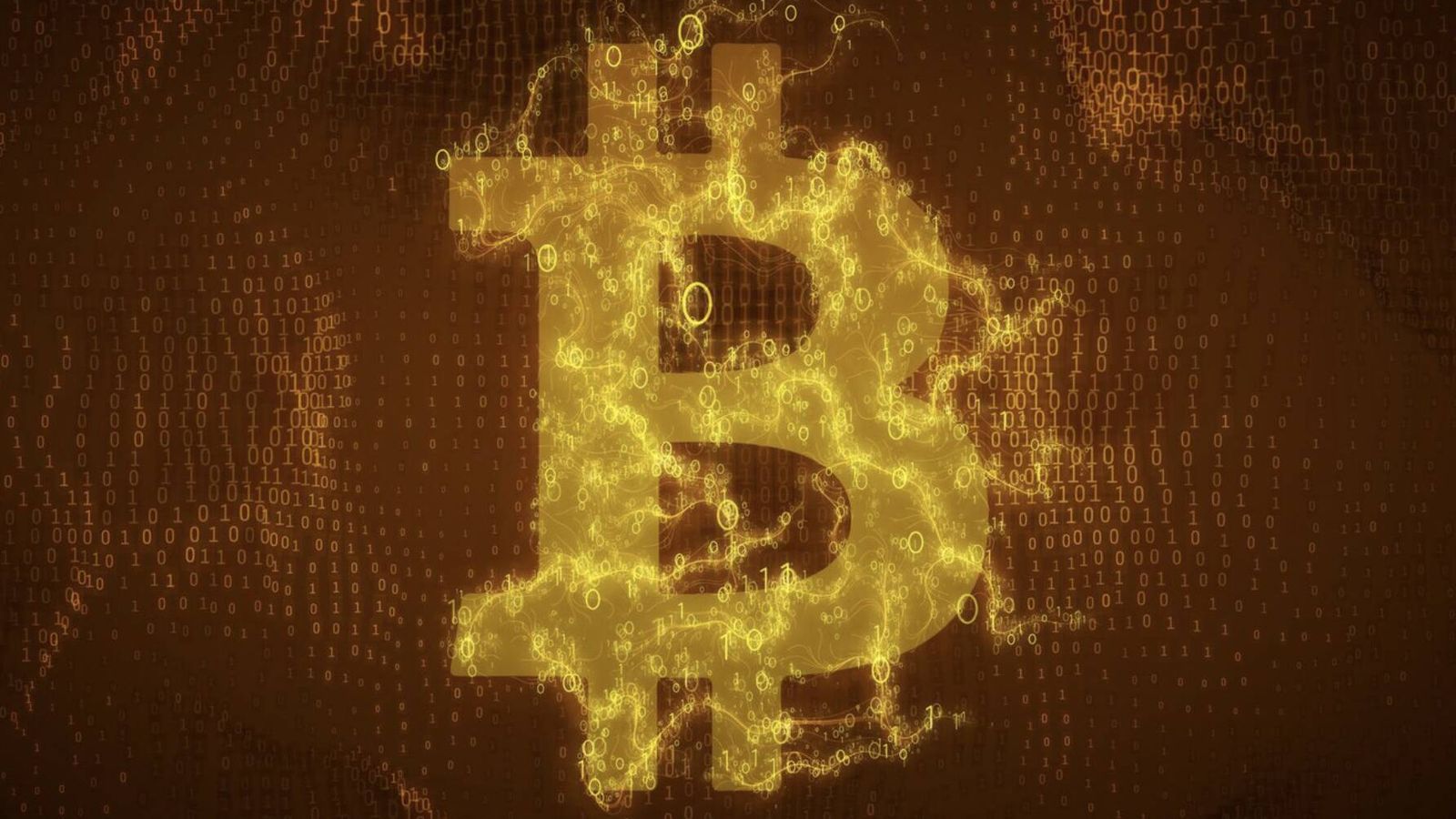 ¿Quién quemó 107 bitcoins y perdió 6,7 millones? ¿Quién quemó 107 bitcoins y perdió 6,7 millones?
