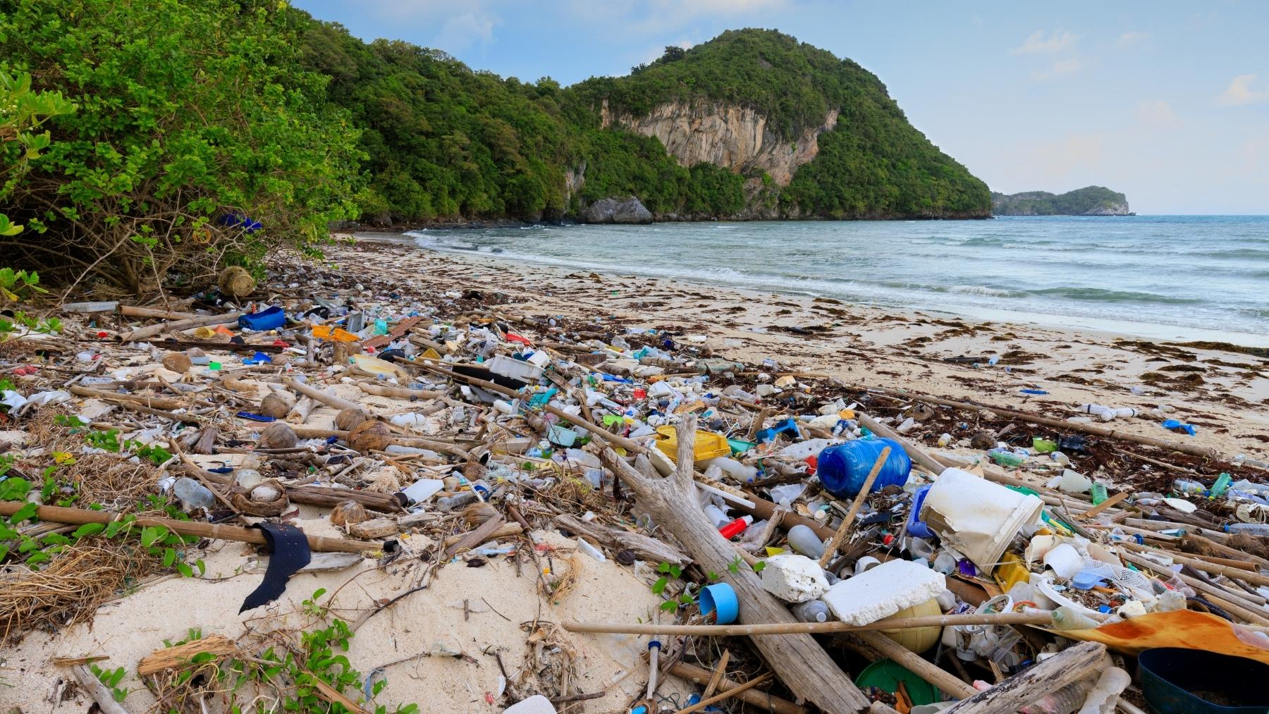 isla Henderson, el paraíso que se convirtió en basurero isla Henderson, el paraíso que se convirtió en basurero