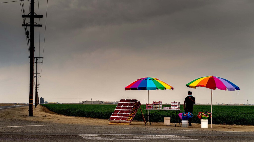 Vender fruta en la carretera ya no es tan fácil, multas de hasta 10.000 euros Vender fruta en la carretera ya no es tan fácil, multas de hasta 10.000 euros