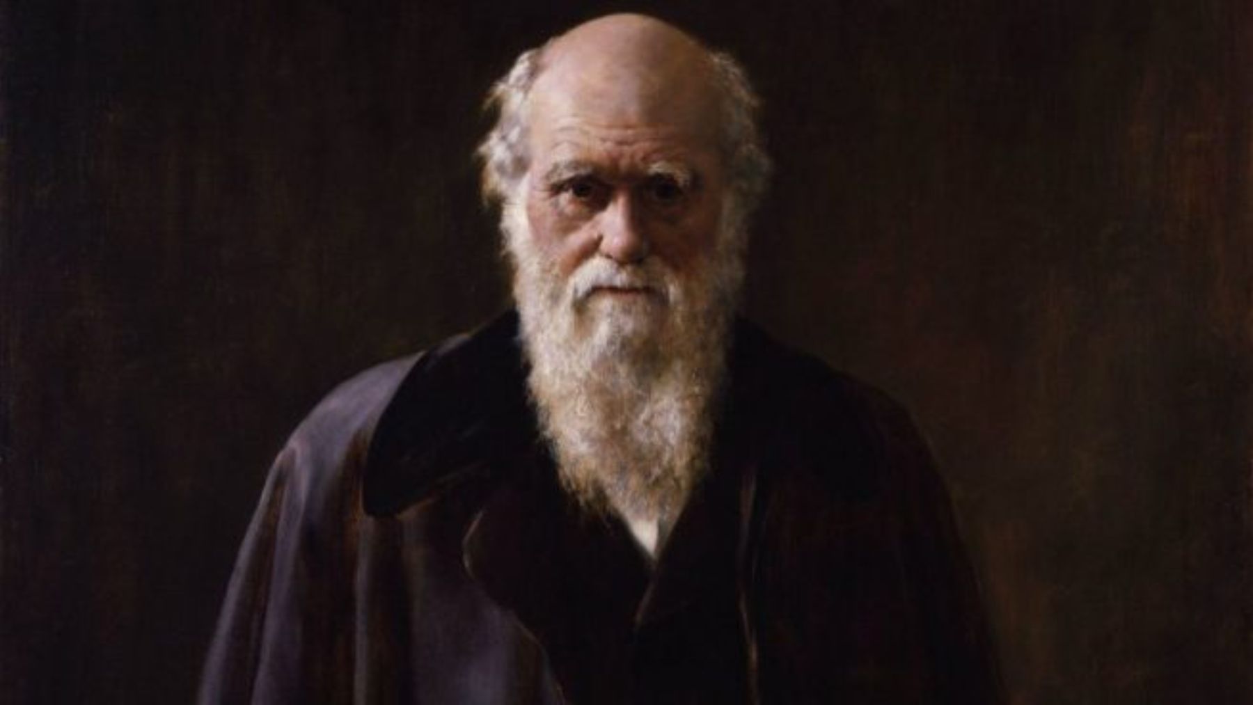 La reflexión de Charles Darwin sobre la importancia de la poesía y la música La reflexión de Charles Darwin sobre la importancia de la poesía y la música