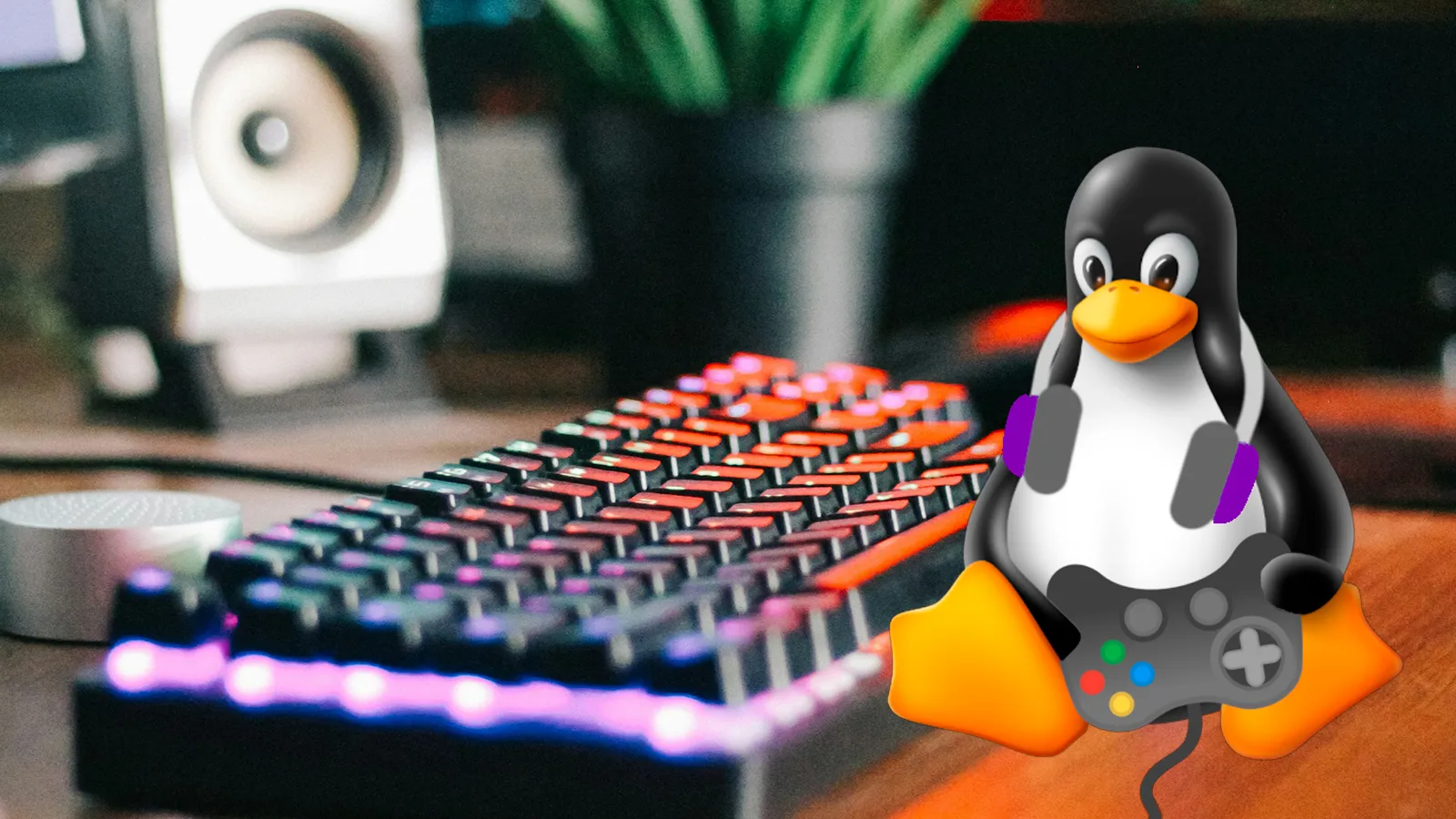 ¿por qué los expertos en linux se pasan a windows 11? ¿por qué los expertos en linux se pasan a windows 11?