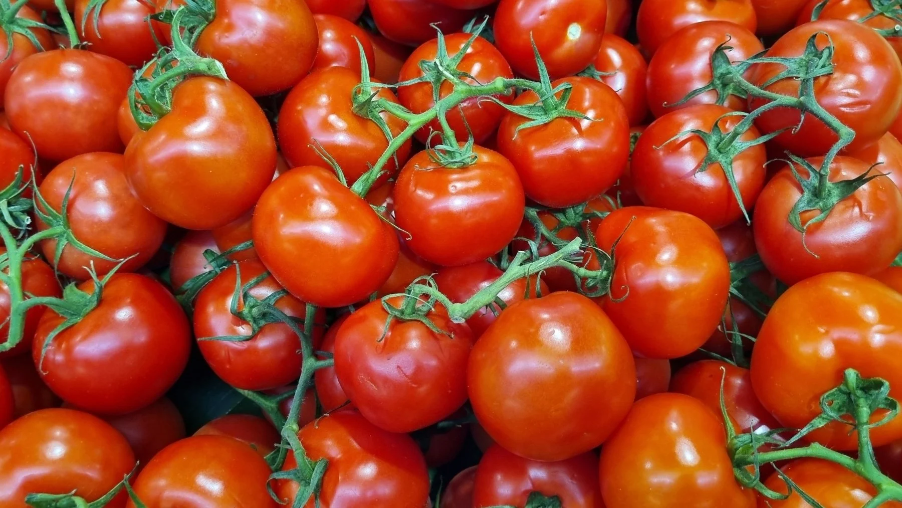 cómo lograr el tomate aliñado perfecto en 3 pasos cómo lograr el tomate aliñado perfecto en 3 pasos