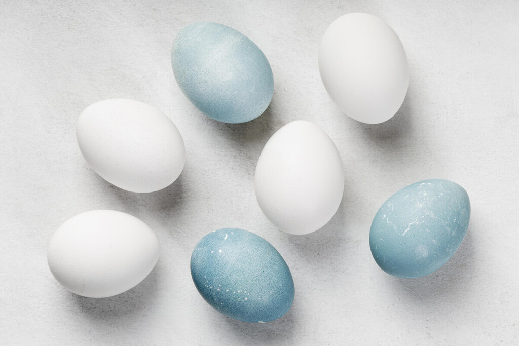 huevos azules: qué son y por qué los ponen unas gallinas mutantes huevos azules: qué son y por qué los ponen unas gallinas mutantes