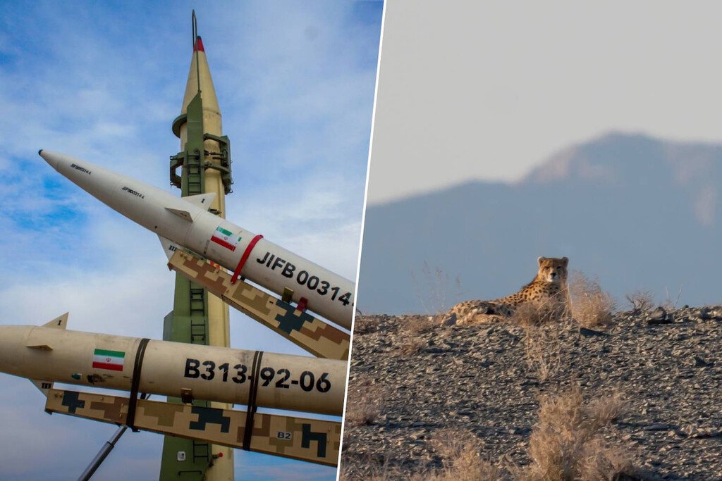 El guepardo asiático en peligro de extinción por la guerra en Irán El guepardo asiático en peligro de extinción por la guerra en Irán