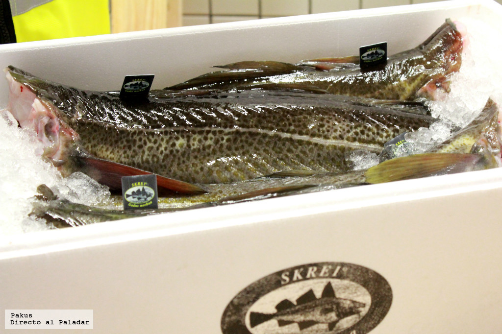 Descubre el bacalao skrei: la joya del Atlántico que llega en primavera Descubre el bacalao skrei: la joya del Atlántico que llega en primavera