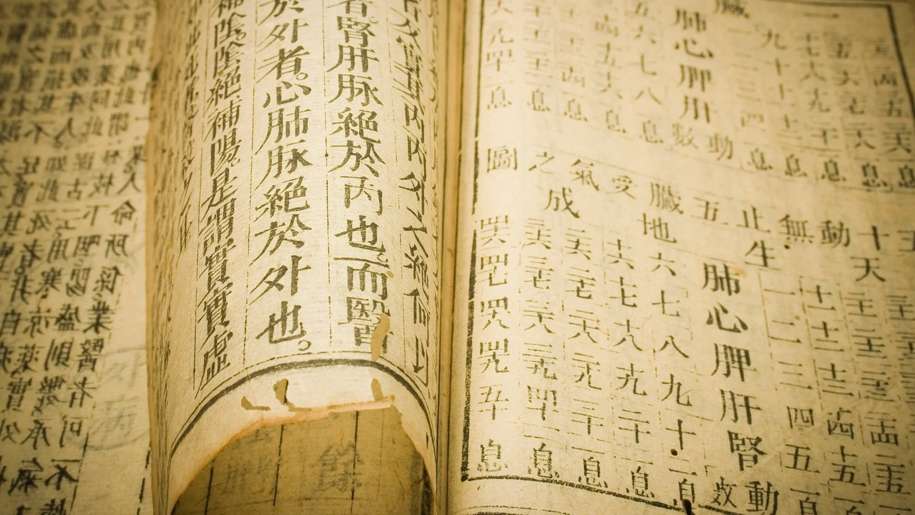 Qué significa el proverbio chino 'Cuando soplan los vientos del cambio, algunos construyen muros y otros molinos de viento' Qué significa el proverbio chino 'Cuando soplan los vientos del cambio, algunos construyen muros y otros molinos de viento'