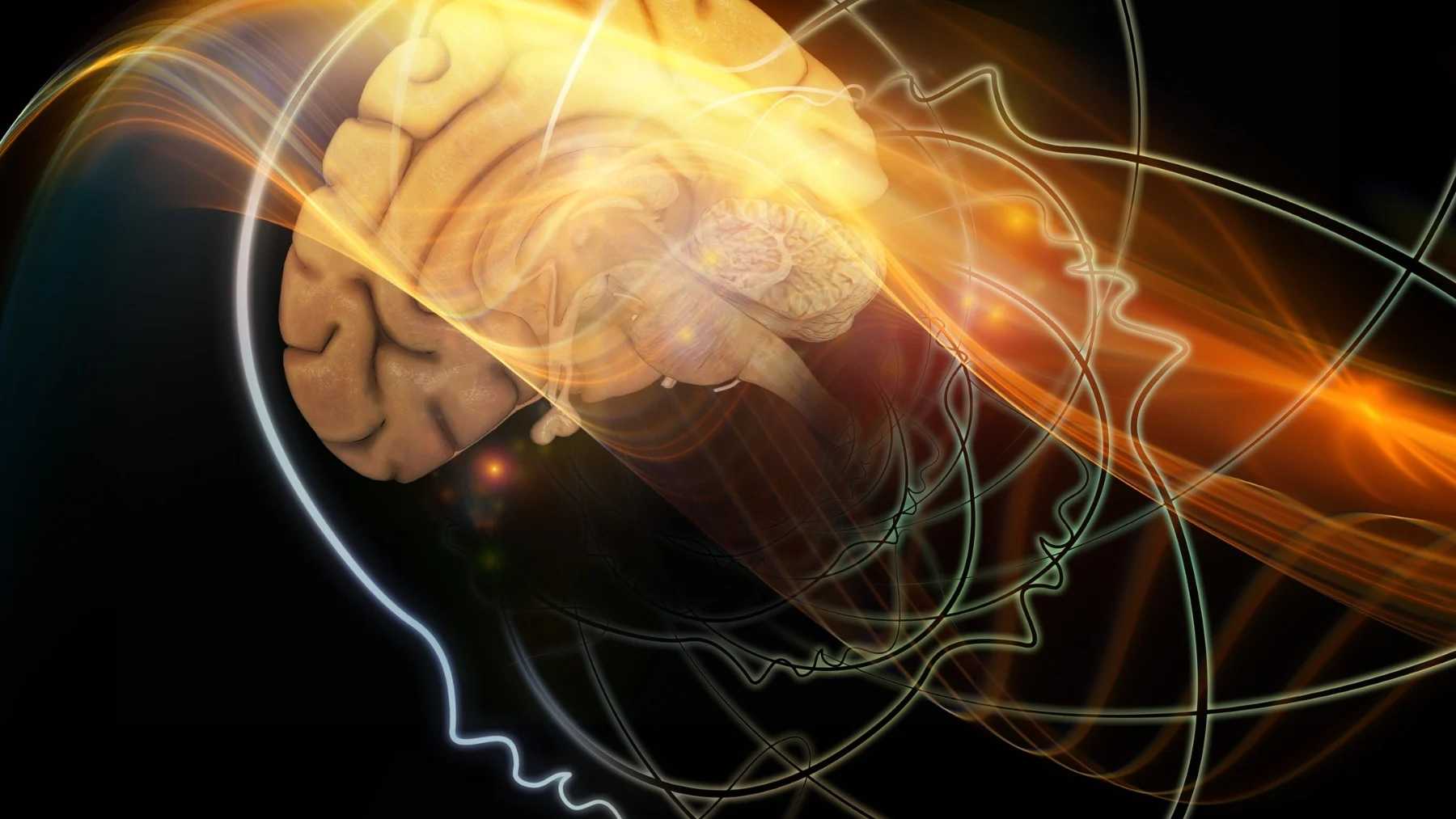 Cómo identificar a personas con bajo cociente intelectual por su comportamiento Cómo identificar a personas con bajo cociente intelectual por su comportamiento