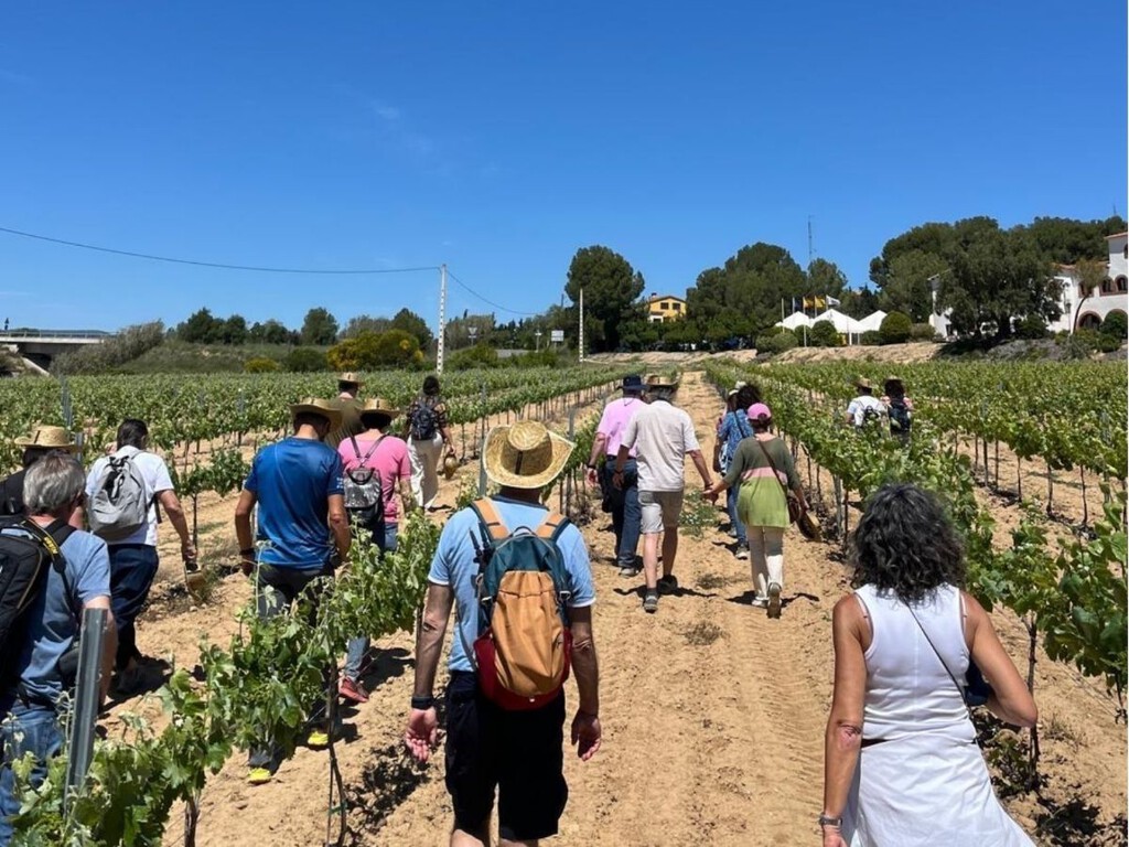 descubre la primavera del cava en mayo: fiesta entre viñedos descubre la primavera del cava en mayo: fiesta entre viñedos