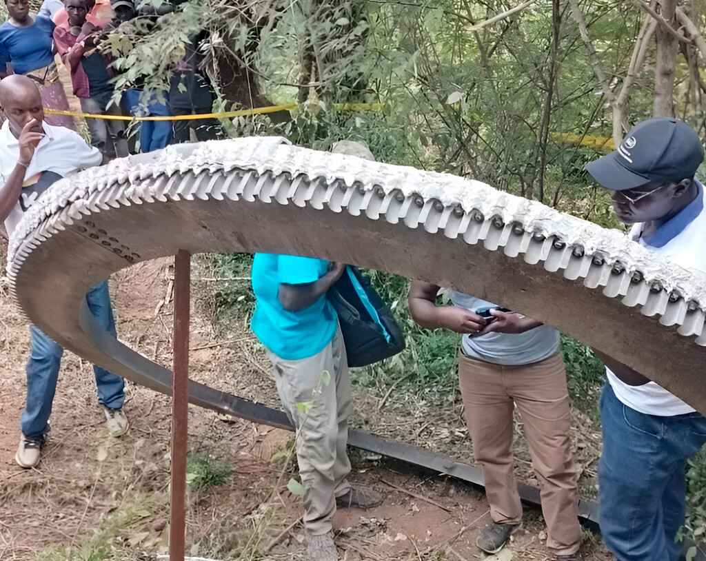 un anillo de medio kilómetro cayó en Kenia sin explicación un anillo de medio kilómetro cayó en Kenia sin explicación