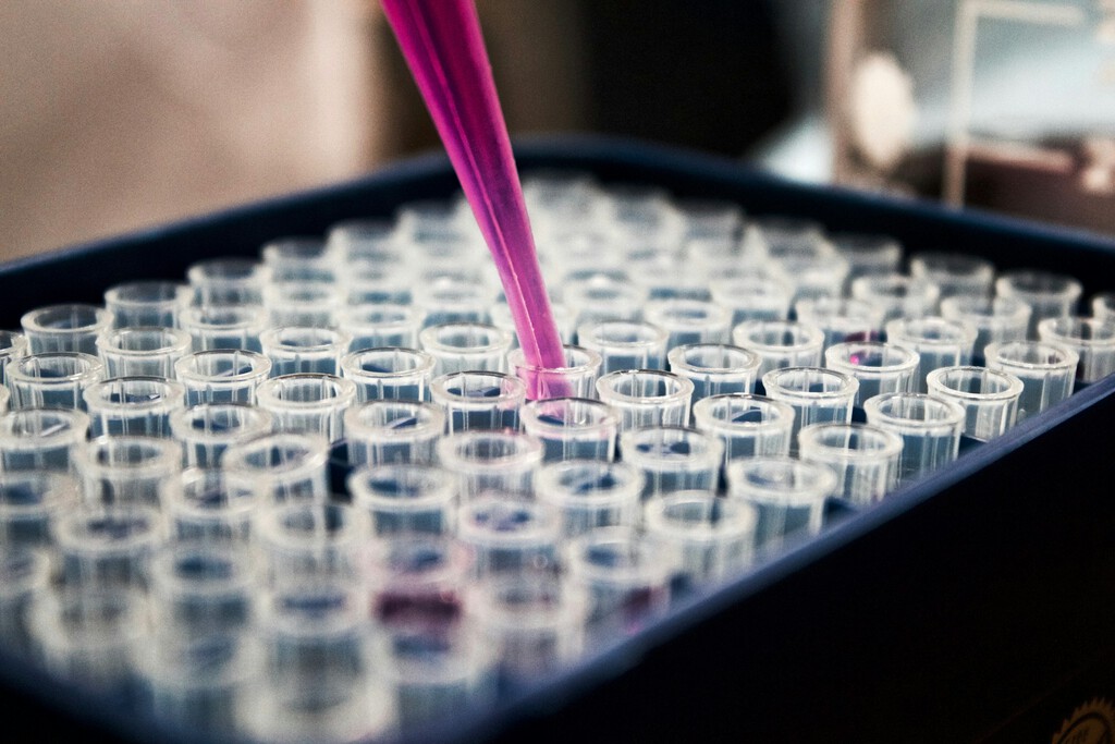Células T 'Turbo': Un Nuevo Anzuelo para Combatir el Cáncer de Próstata Células T 'Turbo': Un Nuevo Anzuelo para Combatir el Cáncer de Próstata