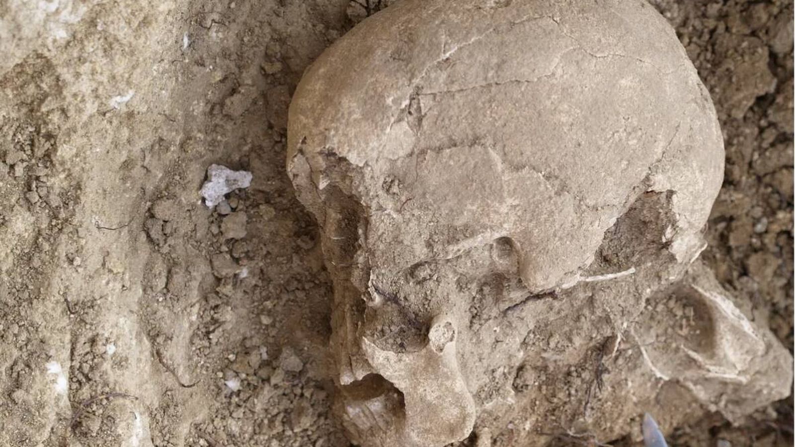 adn revela el secreto del tipo medieval enterrado en un túmulo de la edad de piedra adn revela el secreto del tipo medieval enterrado en un túmulo de la edad de piedra